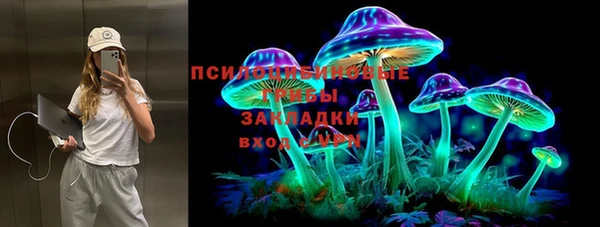 бошки Абинск