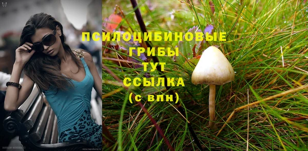 mix Алексеевка