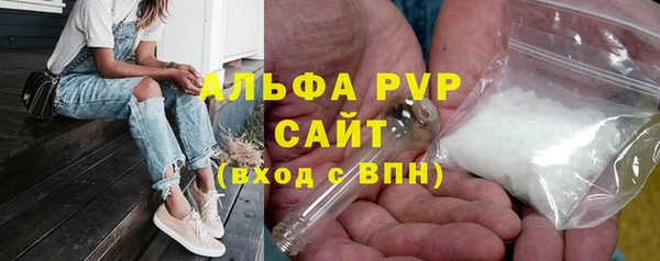 Альфа ПВП Инсар