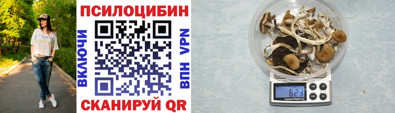 купить наркотики сайты  Тетюши  сайты даркнета состав  Галлюциногенные грибы MAGIC MUSHROOMS 